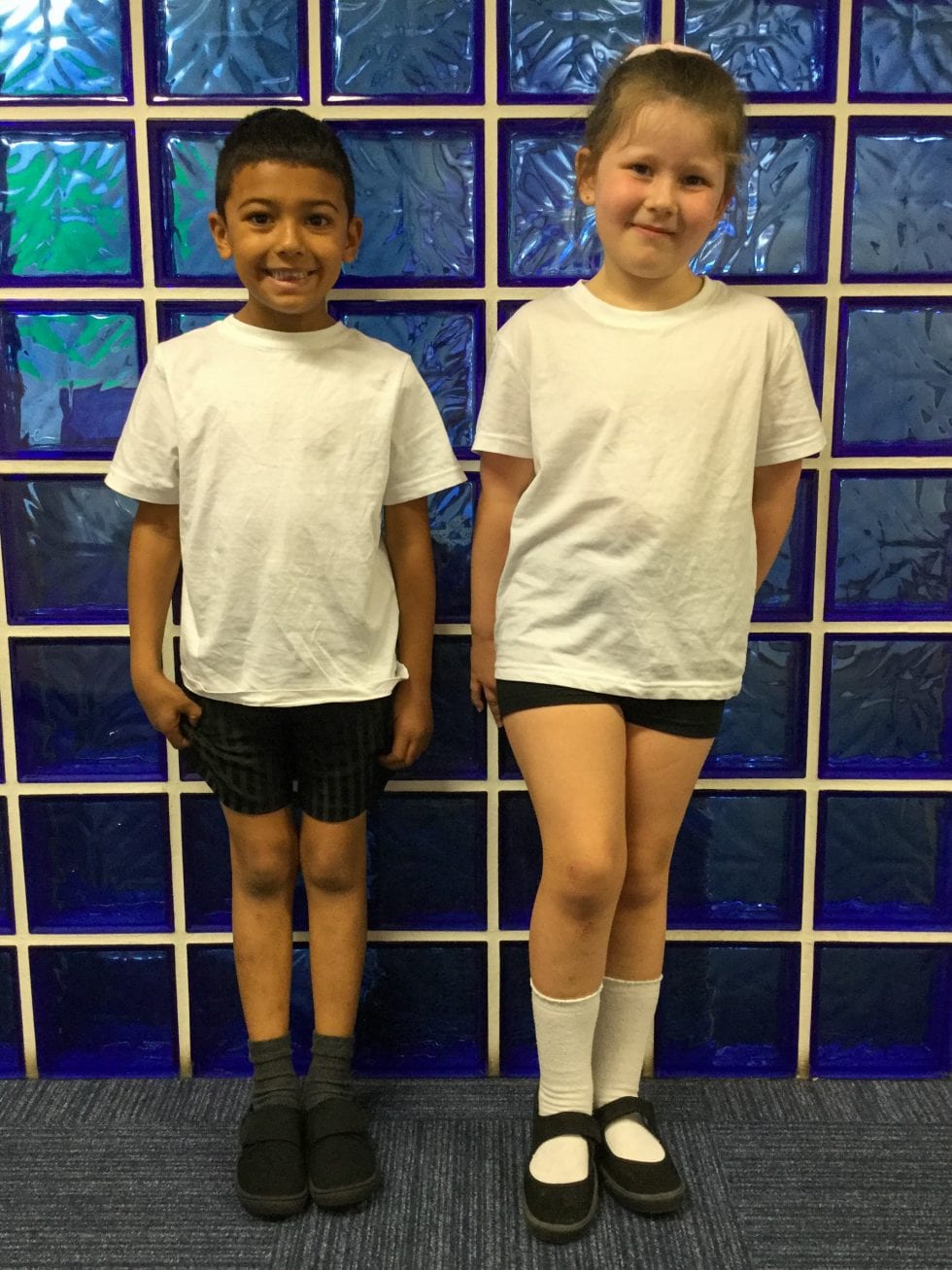 Uniform Fibbersley Park Academy