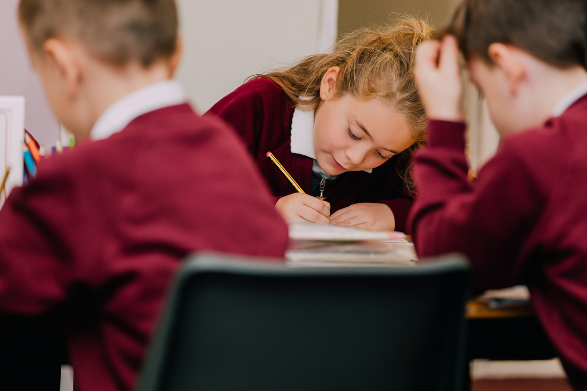 Fibbersley Park Academy low res-1228